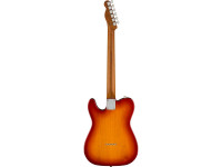 Fender  Limited Edition Player Sienna Sunburst
